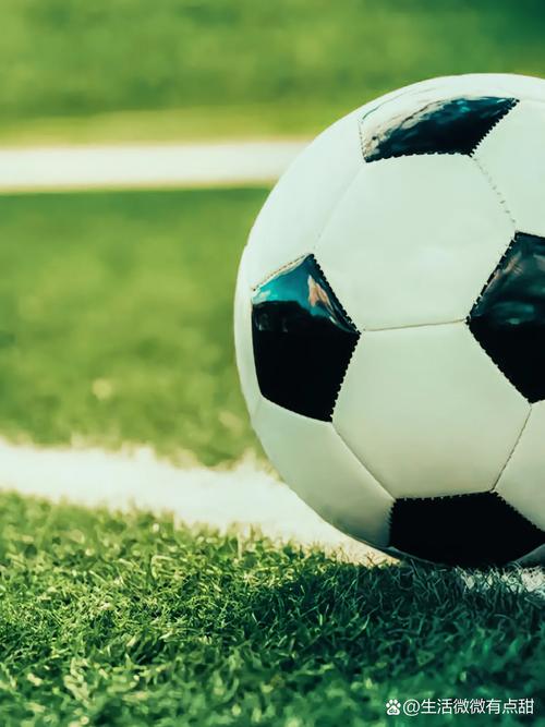 雷速手机版品牌