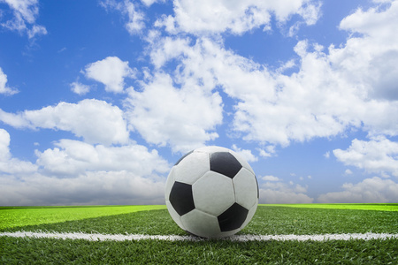 雷速手机版应用界面展示