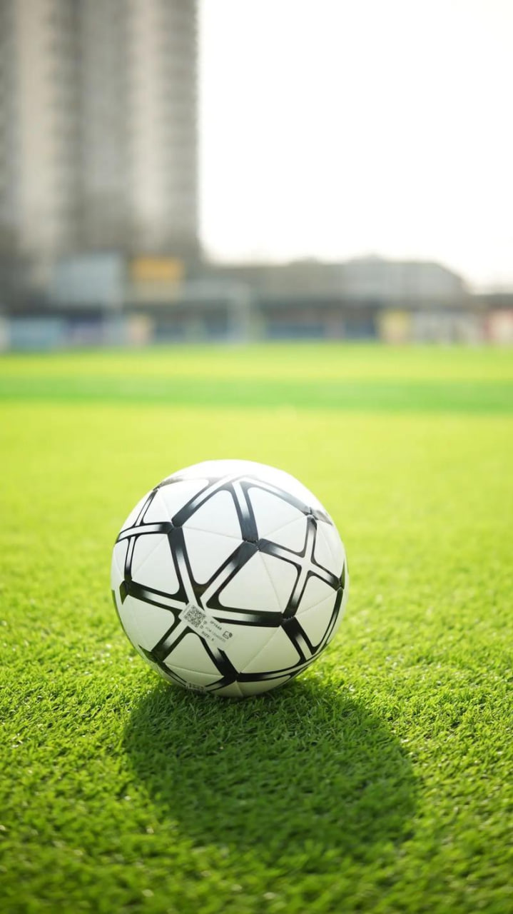 体育爱好者使用雷速手机版